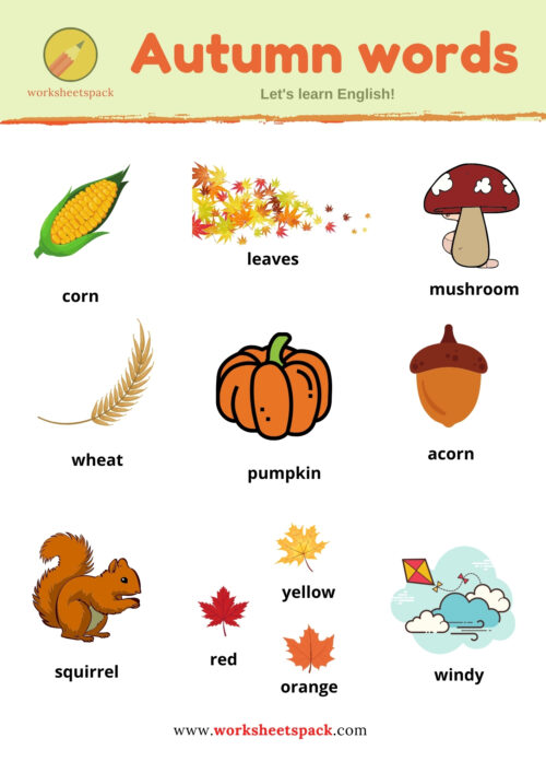 autumn-vocabulary-words-with-pictures-worksheetspack