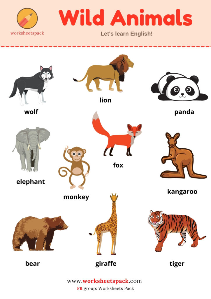 WILD ANIMALS NAMES (VOCABULARY WITH PICTURES)
