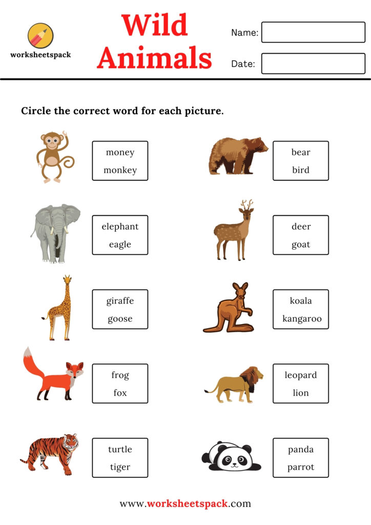 WILD ANIMALS WORKSHEETS