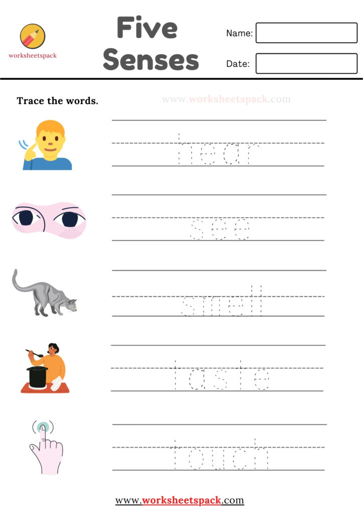 Five senses words tracing worksheets