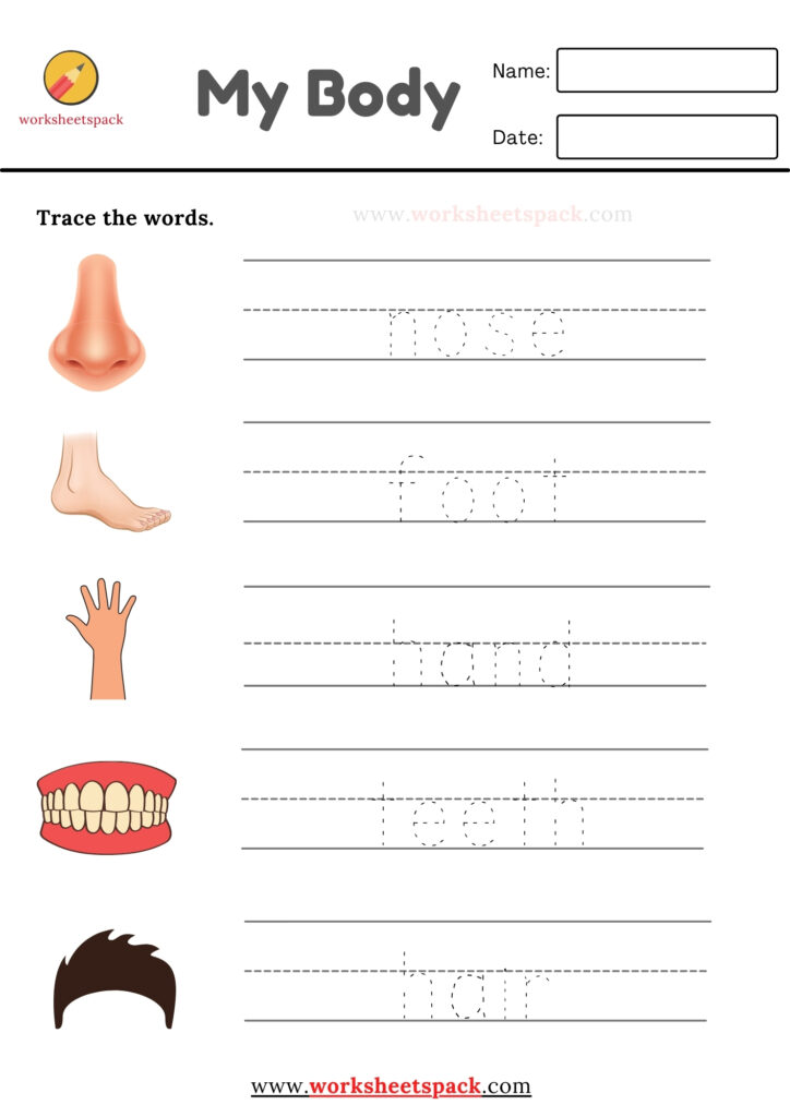 My body words tracing worksheets