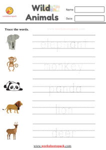 Long And Short Worksheets - Worksheetspack