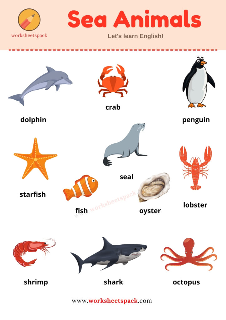 ESL sea animals pictures chart pdf