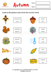 Autumn Worksheets PDF - worksheetspack