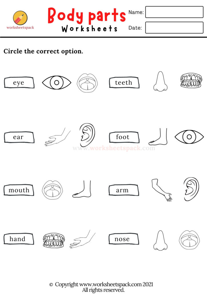 BODY PARTS WORKSHEETS