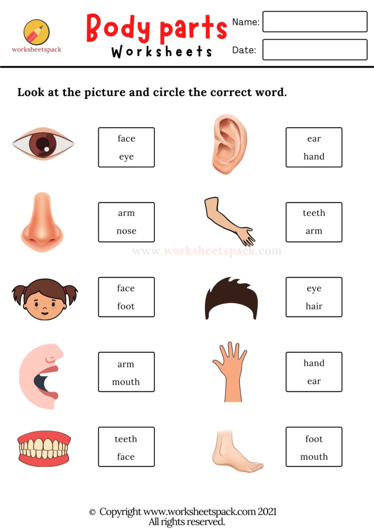 Body Parts Worksheets - worksheetspack