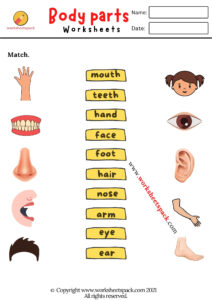 CVC words matching worksheets pdf - worksheetspack