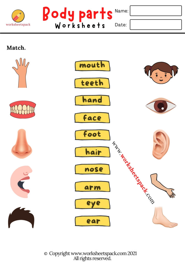 BODY PARTS WORKSHEETS