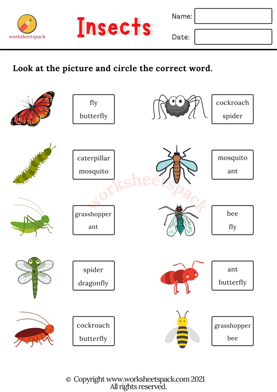 Toys vocabulary worksheets PDF - worksheetspack