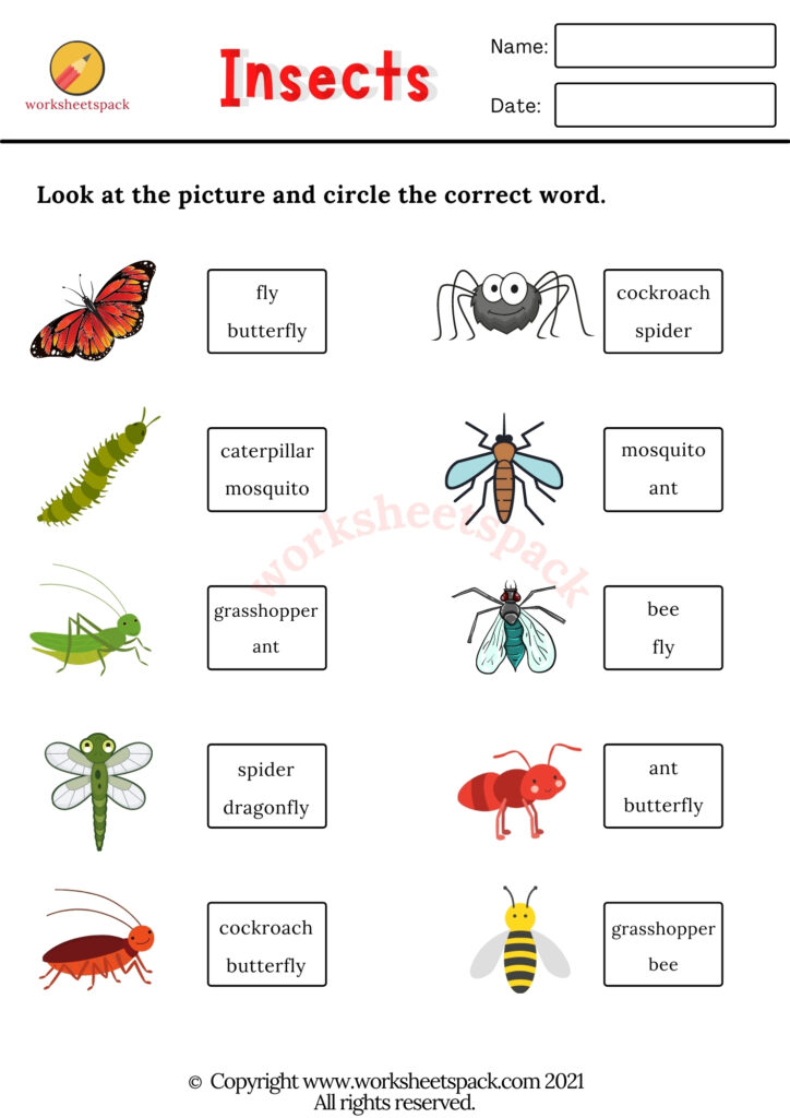 ESL free printable insects worksheets pack