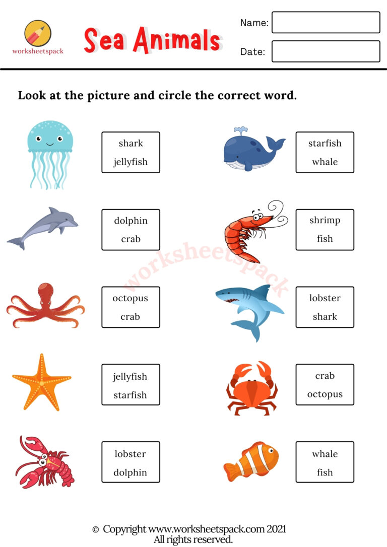 CVC words matching worksheets pdf - worksheetspack