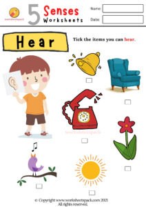 The 5 Senses Worksheets - Worksheetspack