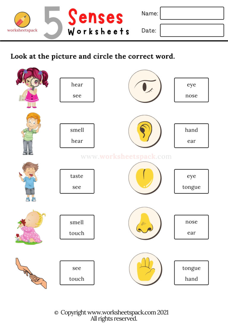 The 5 senses worksheets - worksheetspack