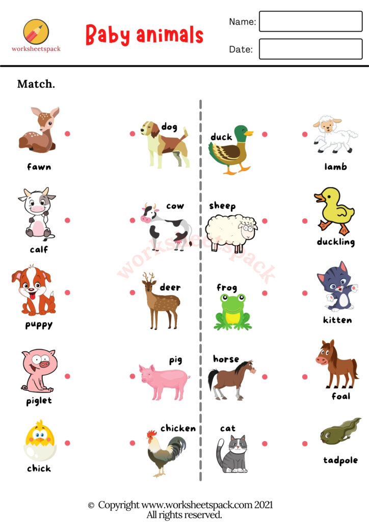 BABY ANIMALS WORKSHEETS