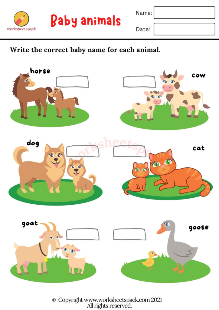 BABY ANIMALS WORKSHEETS