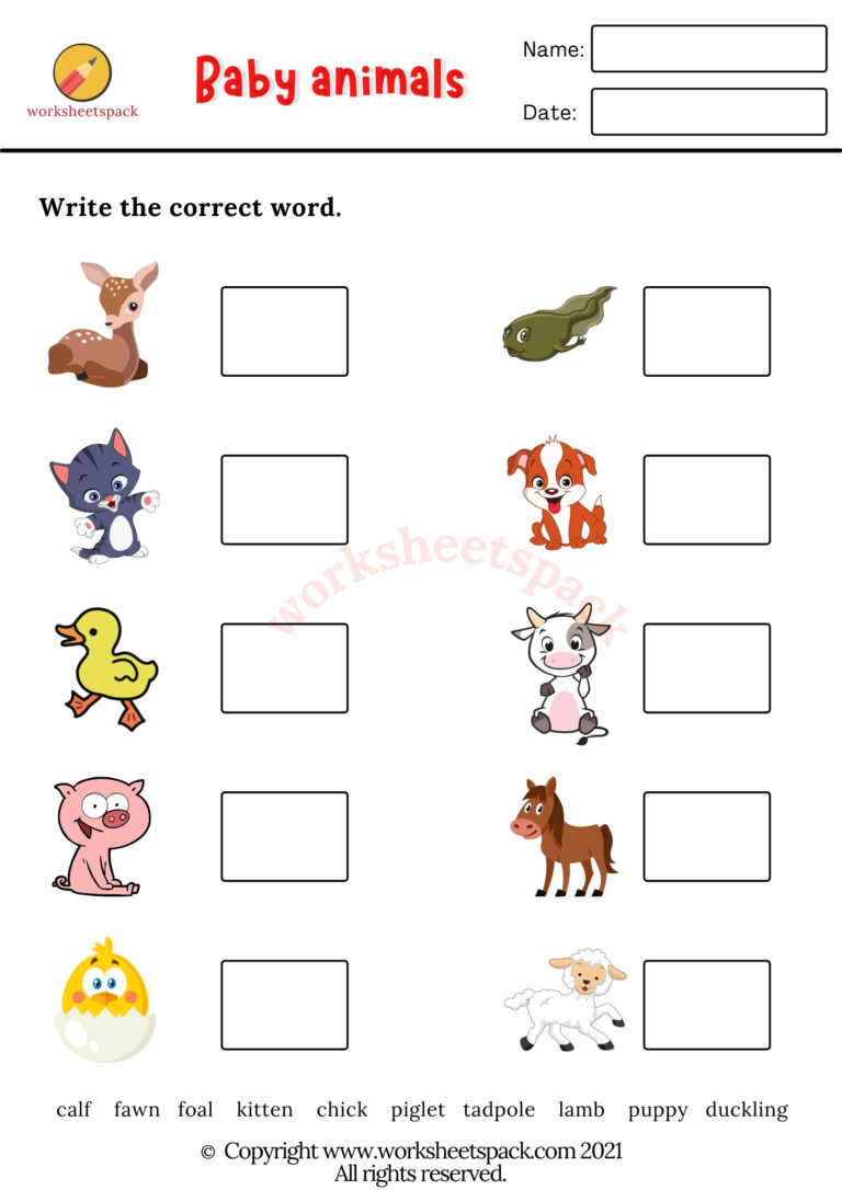 Baby Animals Worksheets PDF - worksheetspack