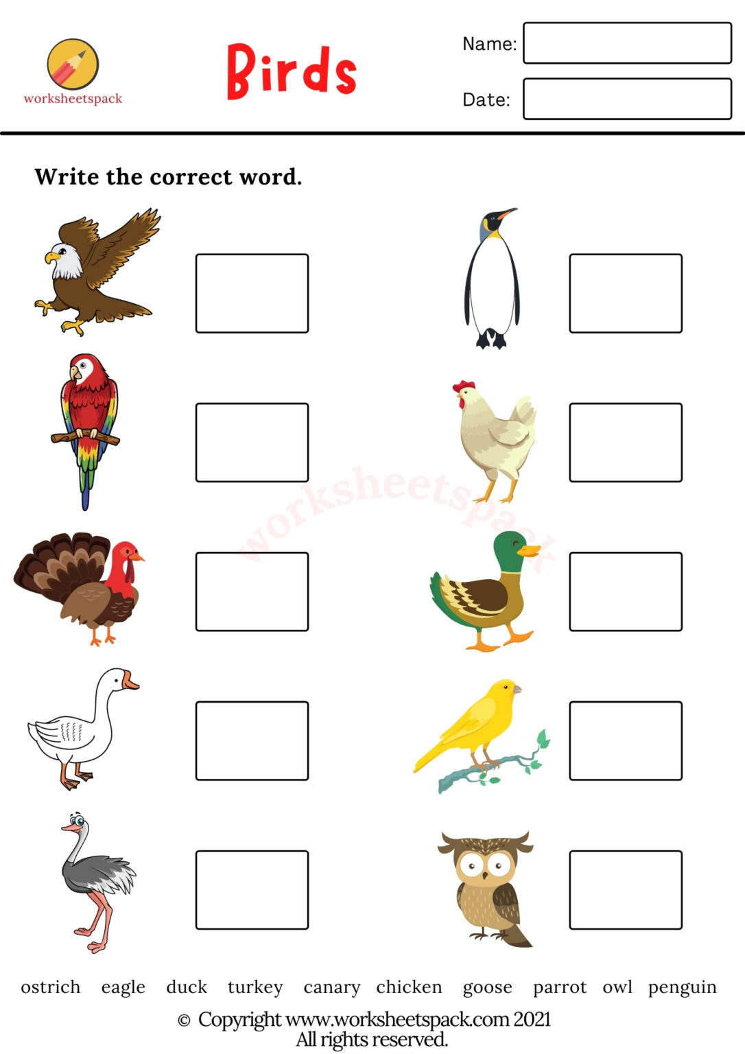 Birds Worksheets PDF - worksheetspack