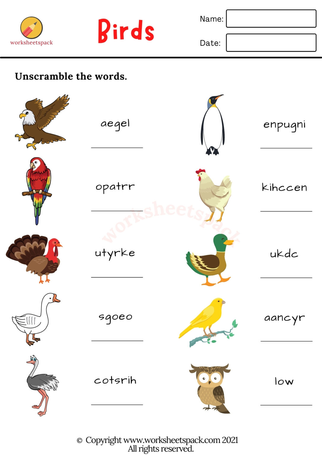 Birds Worksheets PDF - worksheetspack