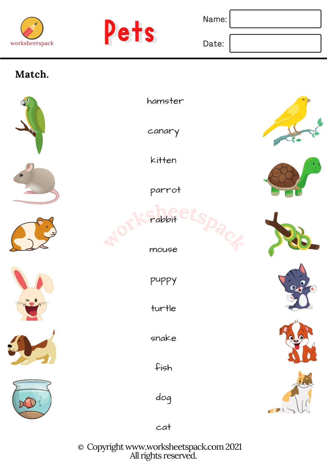 Free Pets Worksheets - worksheetspack