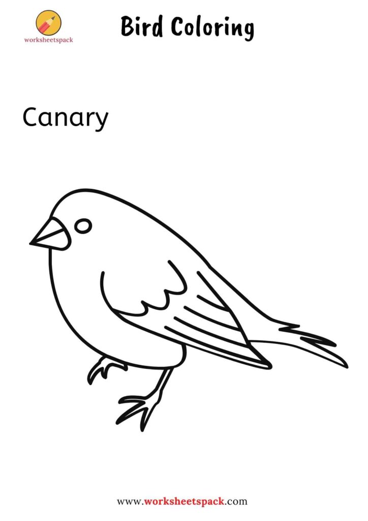 BIRD COLORING PAGES