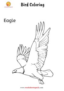 Bird coloring pages - worksheetspack