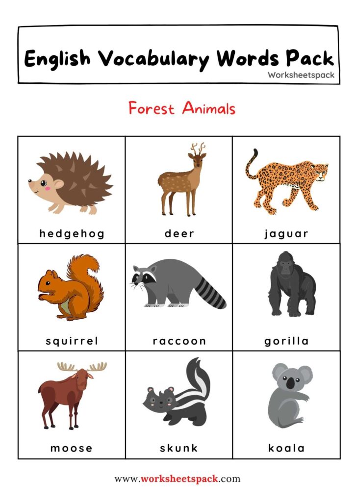 ANIMAL VOCABULARY WORDS FOR KIDS