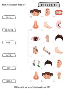 Body parts activities for preschoolers - worksheetspack