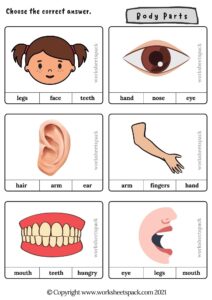 Body Parts Activities For Preschoolers - Worksheetspack