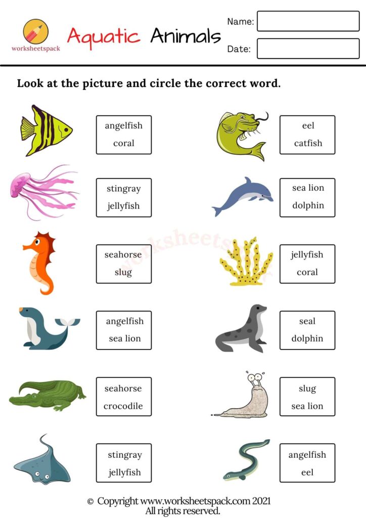 Aquatic animals vocabulary worksheets PDF
