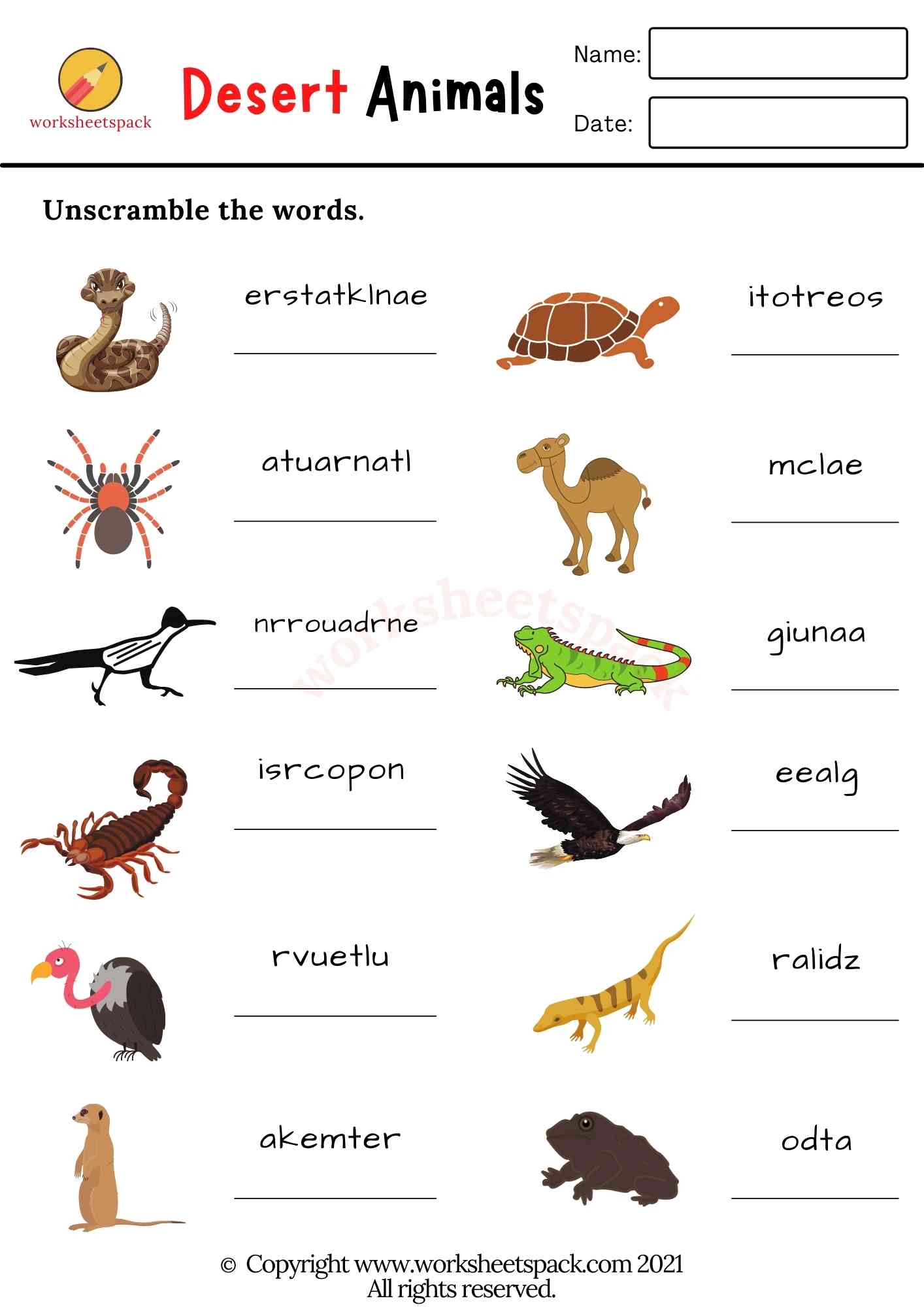 Desert Animals Worksheets for Kids - worksheetspack