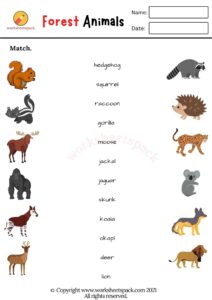 Forest Animals Worksheets PDF - worksheetspack