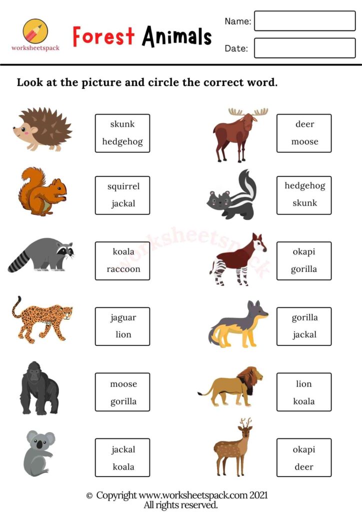 Forest animals worksheets PDF