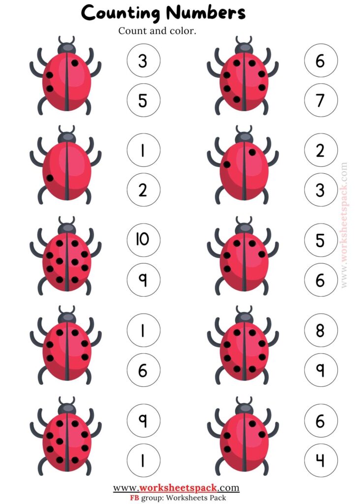 Ladybug Spots Counting