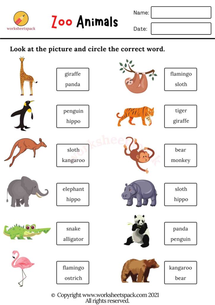 Zoo animals worksheets