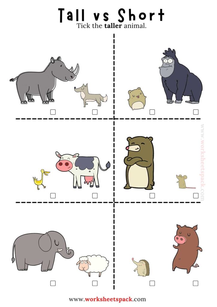 Tall and short comparison worksheet