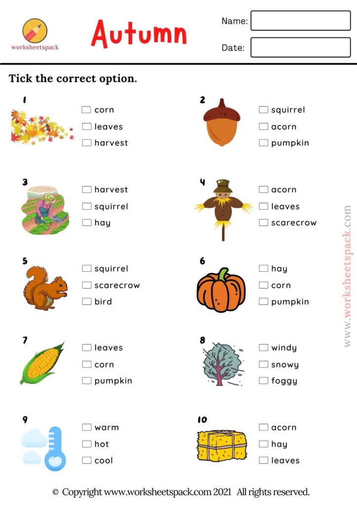 Autumn Picture Quiz, Fall Vocabulary Exercise