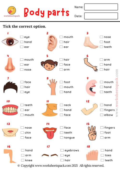 Esl Parts Of The Body Picture Quiz Worksheetspack