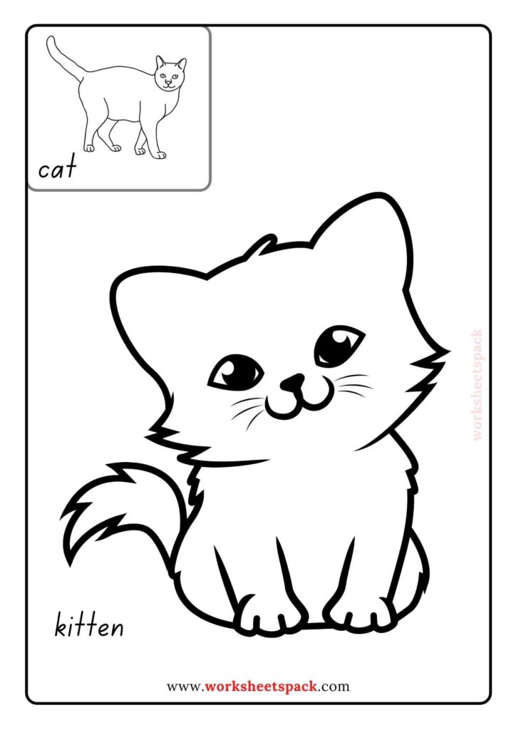 Baby animal coloring pages PDF