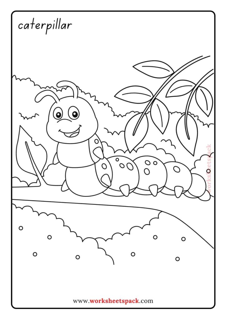 Insect coloring book PDF