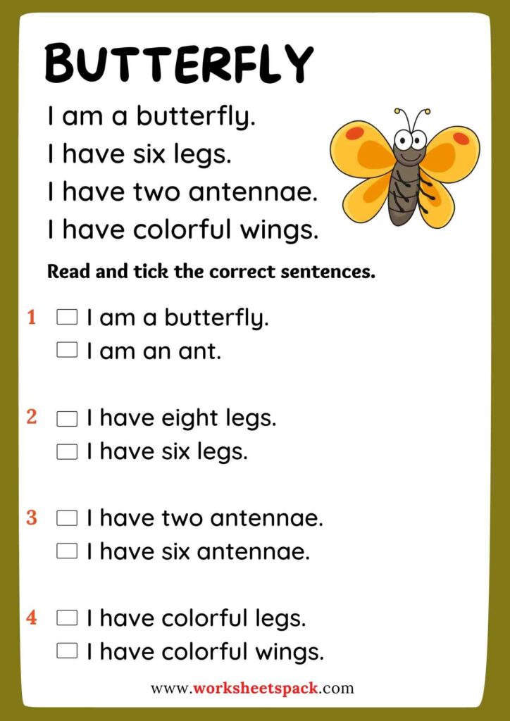 Insect reading practice PDF