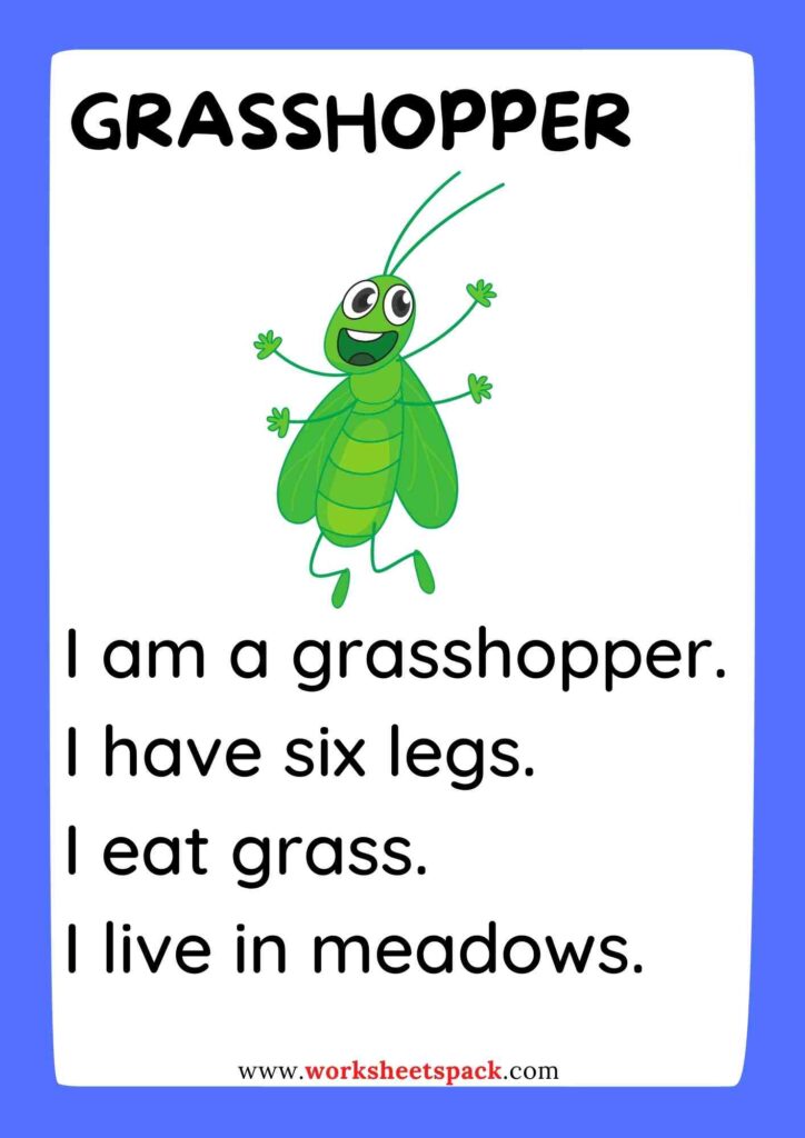 Insects reading comprehension worksheets