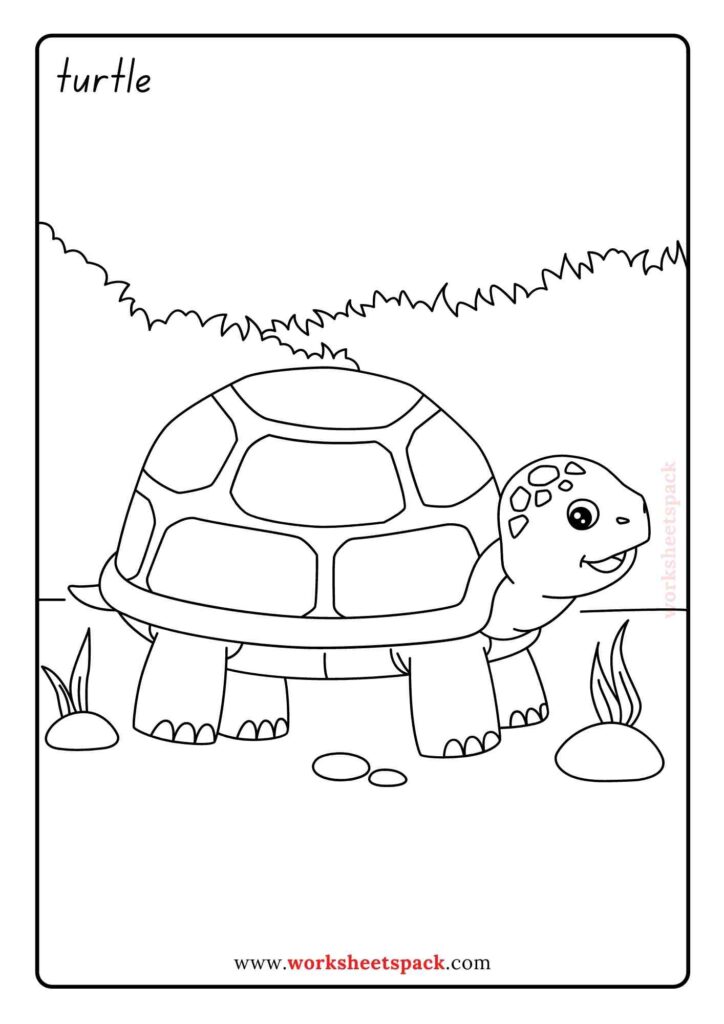Pet coloring pages for kindergarten