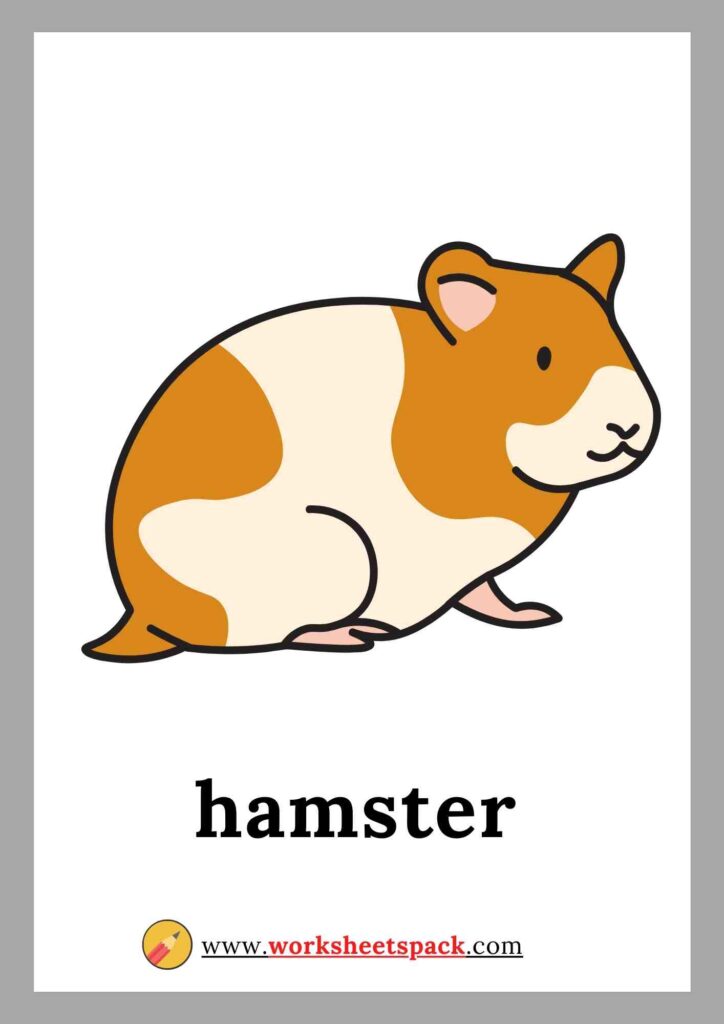 Pets flashcards PDF (hamster)