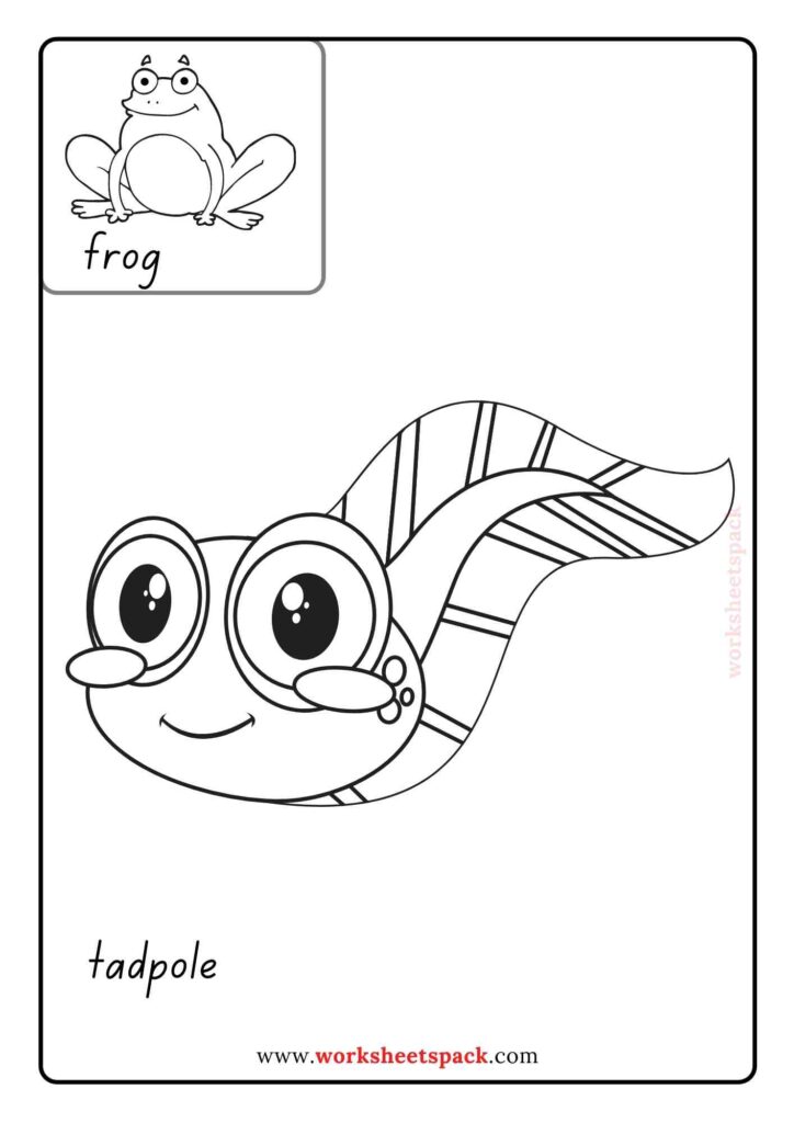 Printable baby animal coloring pages