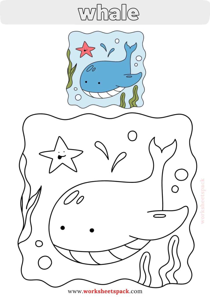 Sea animals coloring pages PDF