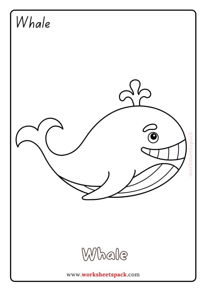 Whale Coloring Pages PDF
