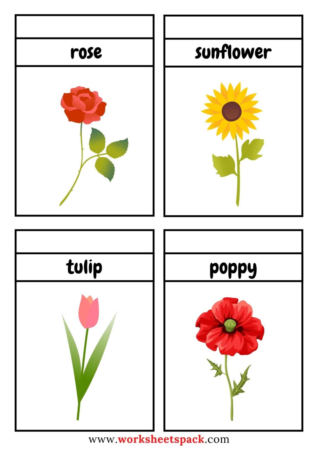 Free Printable Flowers Flashcards PDF - worksheetspack