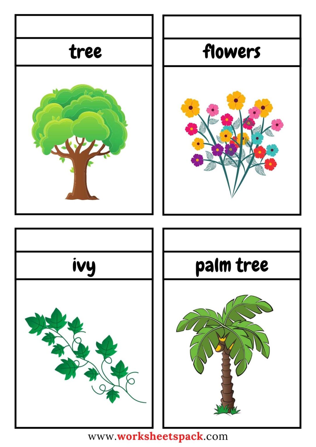 Body Parts Flashcards Worksheetspack