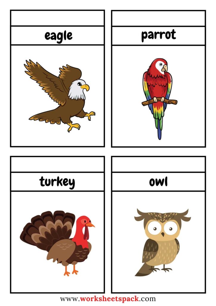 Free Printable Birds Flashcards PDF