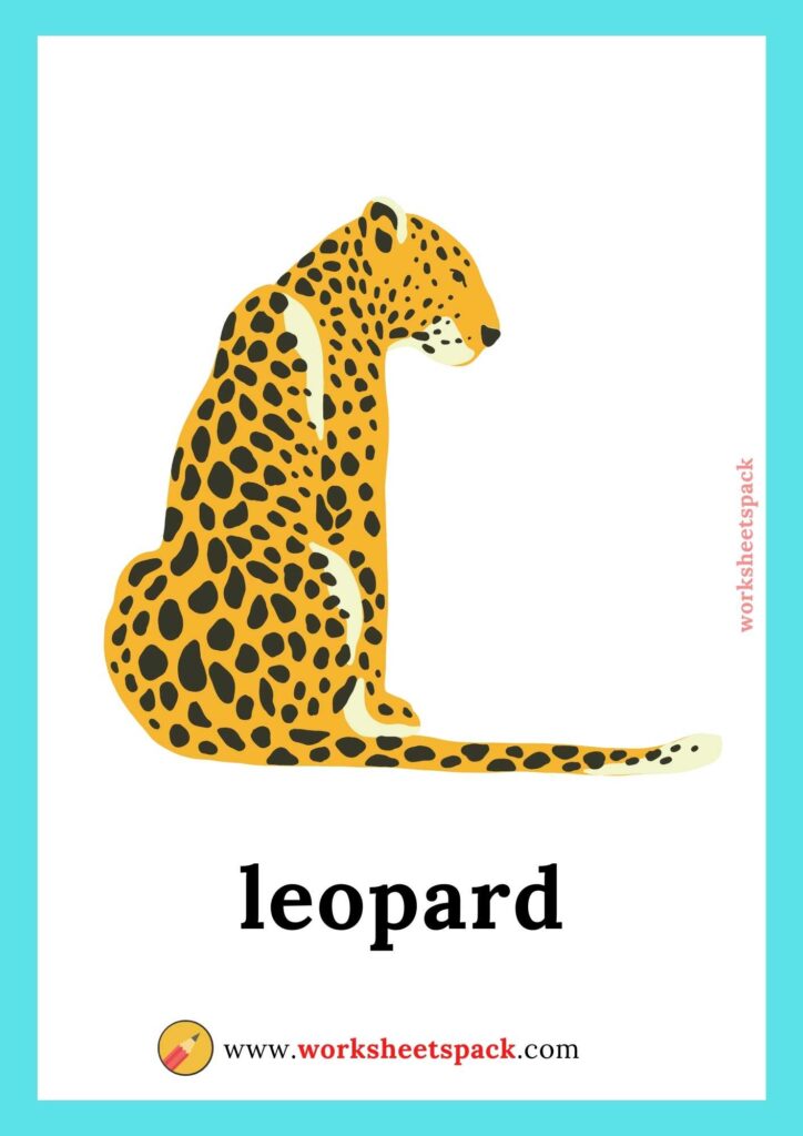 Jungle Animal Picture Cards for Kids